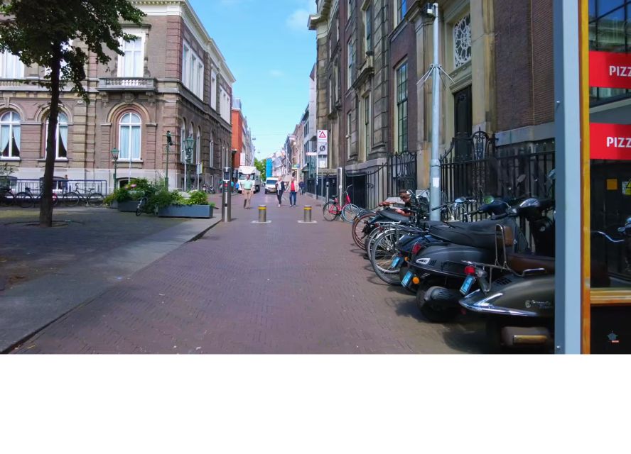 Private half-day Delft and The Hague tour - Stop 4: The Hague walk, politics you can actually see