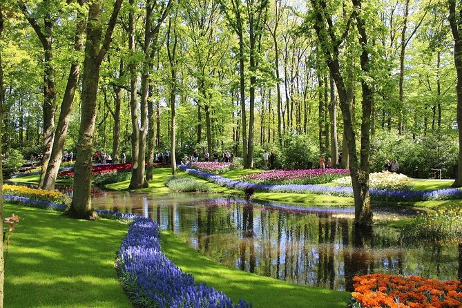 Private Half-Day Trip From Amsterdam to The Tulip Fields in Keukenhof - Private door-to-door transport from Amsterdam