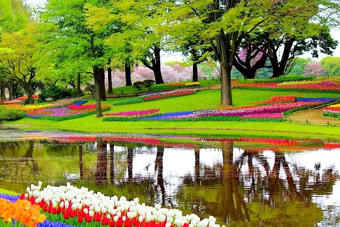 Private Half-Day Trip From Amsterdam to The Tulip Fields in Keukenhof - Tulips, seven million flowers, and what to do in the gardens