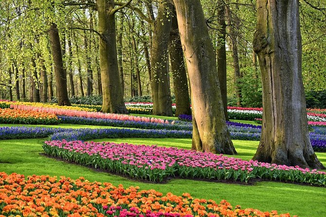 Private Keukenhof Gardens and Tulip Fields Tour from Amsterdam - Keukenhof Gardens with your own pace, about 2.5 hours to roam