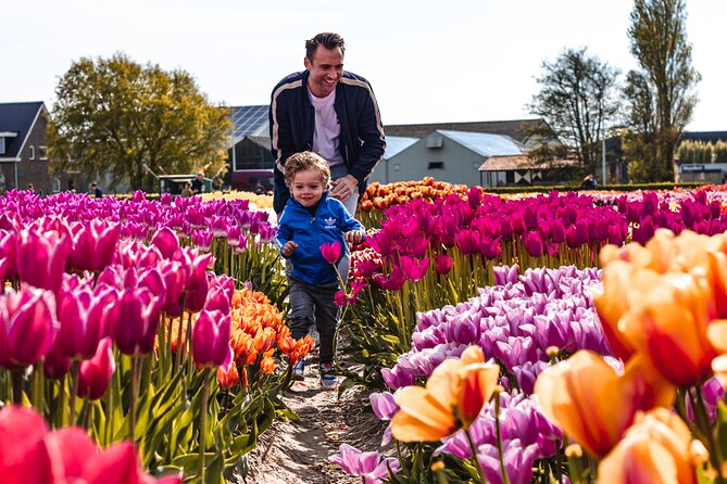 Private Keukenhof Gardens and Tulip Fields Tour from Amsterdam - Who this private tour is best for