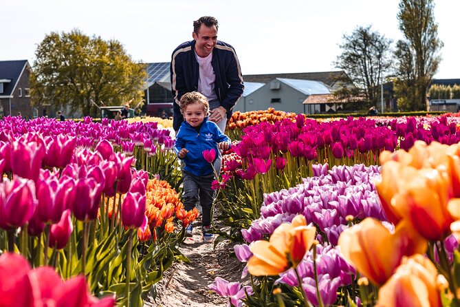 Private Keukenhof, Gardens, Windmills, cheese tour from Amsterdam - Jacobs Hoeve cheese farm by Henri Willig: tasting you can actually plan for