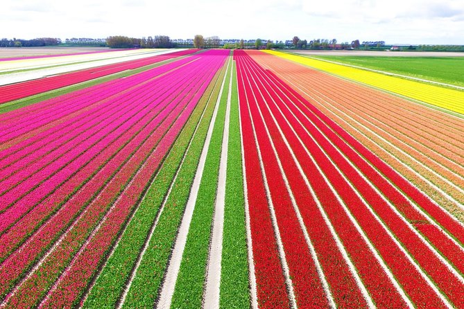 Private Keukenhof Park and Tulip Fields Tour (Skip-The-Line) - Key highlights worth planning for