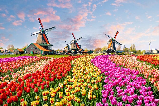 Private Keukenhof Park and Tulip Fields Tour (Skip-The-Line) - Why this Keukenhof day feels calmer than big-group tours