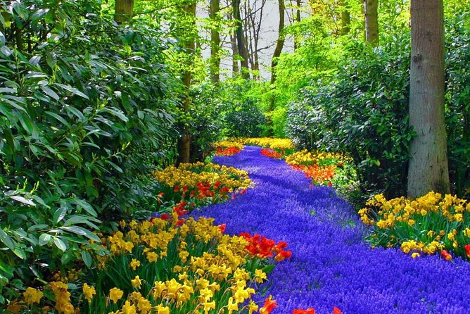 Private Keukenhof Park and Tulip Fields Tour (Skip-The-Line) - Timing, crowds, and staying flexible with bloom peak