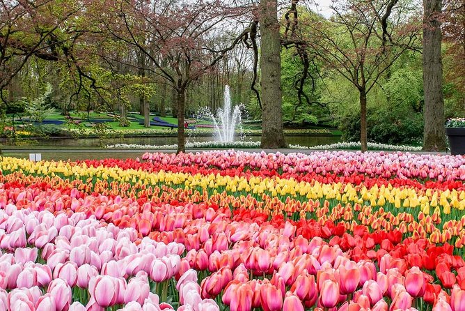 Private Keukenhof Park and Tulip Fields Tour (Skip-The-Line) - Keukenhof Gardens: seven million flowers and the best kind of time