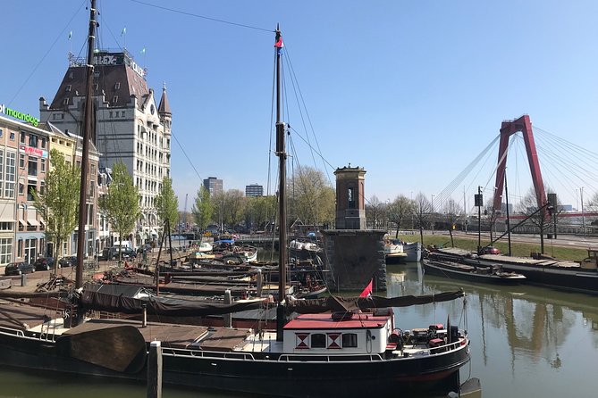 Private tour: Markthal, Cube houses and Rooftop Het Witte Huis - Price, value, and why this feels like more than a quick pass-through