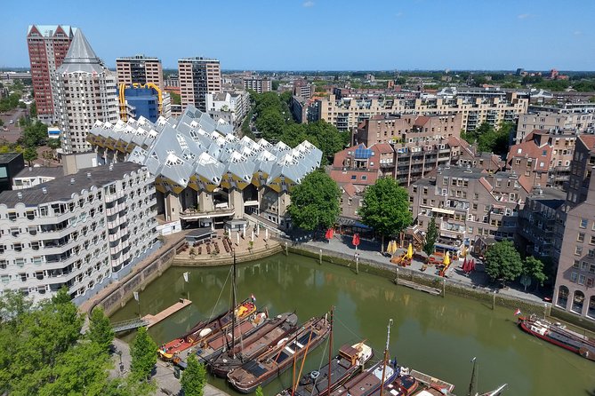 Private Tour Rotterdam: Highlights, Water Taxi and Rooftop view - Erasmus Bridge water taxi: the best “wow per minute” on the route