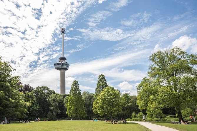 Private Tour: Rotterdam Walking Tour Including Harbor Cruise - Cube Houses and Museumpark Architecture Stops