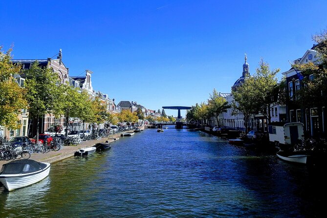 Private Tour to Kinderdijk and Delft / Leiden / Hague / Gouda - Should You Book This Private Kinderdijk + South Holland Tour?