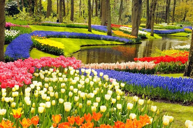 Private Tour to the Keukenhof and Tulip Fields - Keukenhof Gardens and Surrounding Tulip Fields: How You Spend Your Time