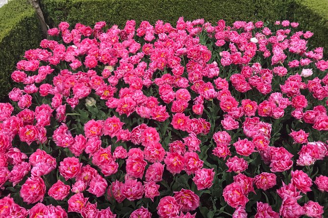 Private Tour to the Keukenhof and Tulip Fields - De Tulperij Flower Farm: A Quick Stop for Photos and a Break