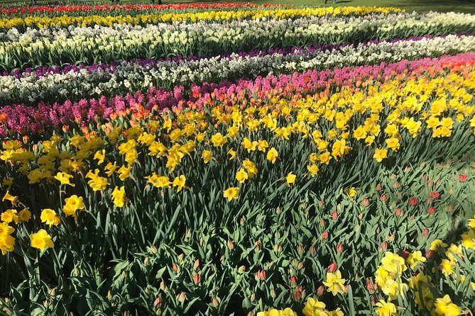 Private Tour to the Keukenhof and Tulip Fields - Price Breakdown: What the $318.70 Covers (and What You Still Pay)
