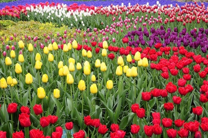 Private Tour to Tulips, Keukenhof, Windmills & Cheese Farm - Keukenhof: Europe’s biggest flower park, planned into your day