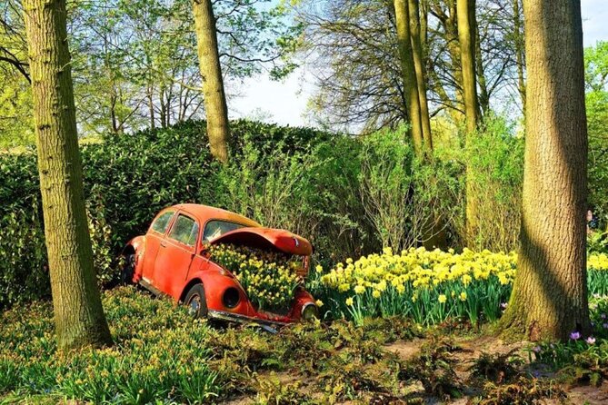Private Tour to Tulips, Keukenhof, Windmills & Cheese Farm - Price and logistics for a private 8-hour loop from Amsterdam