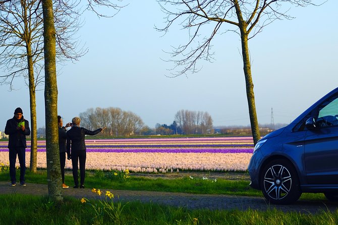 Private Tour to Windmills Zaanse Schans +Keukenhof - 7 Hours - Noordwijkerhout tulip fields: a free color break