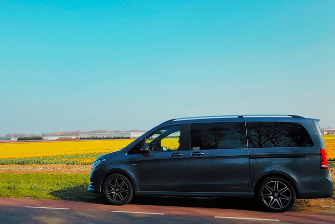 Private Tour to Windmills Zaanse Schans +Keukenhof - 7 Hours - Weather reality: plan for a tulip day with backup options