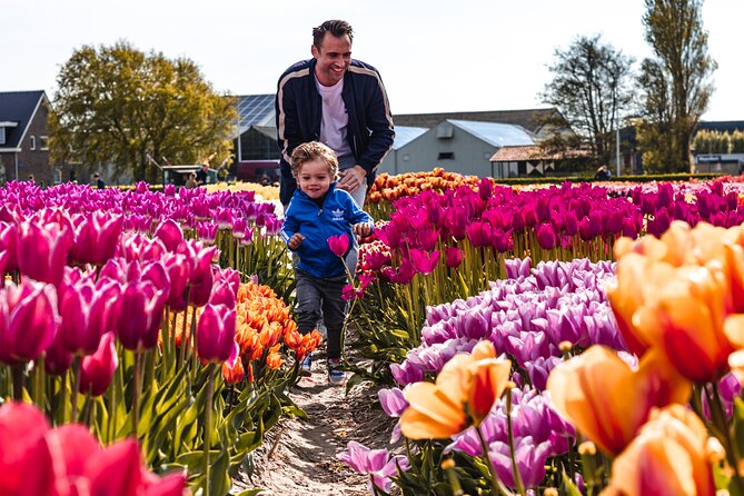 Private Tulip Fields, Windmills and Cheese Tour from Amsterdam - Jacobs Hoeve Cheese Farm by Henri Willig: Gouda Up Close