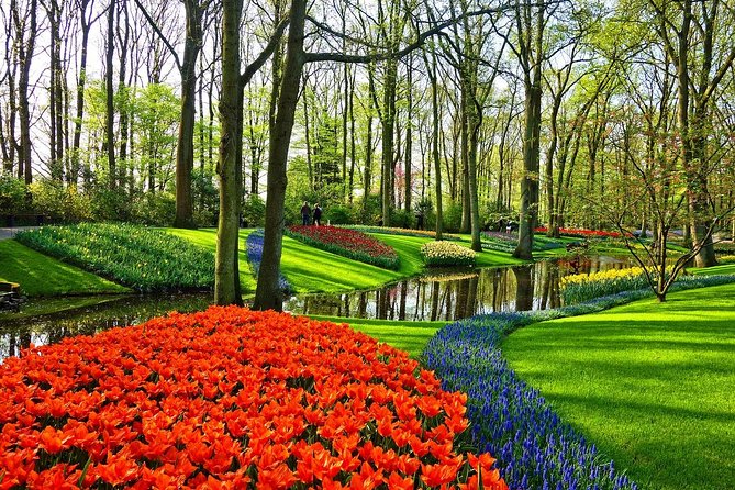 Private Tulip Fields, Windmills and Cheese Tour from Amsterdam - Tulip Experience Amsterdam: From Tulip Origins to a 700-Variety Show Garden