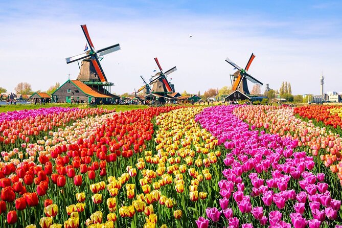 Private Zaanse Schans & Volendam Tour: Windmills, Cheese & Clogs - What your day will actually feel like, step by step