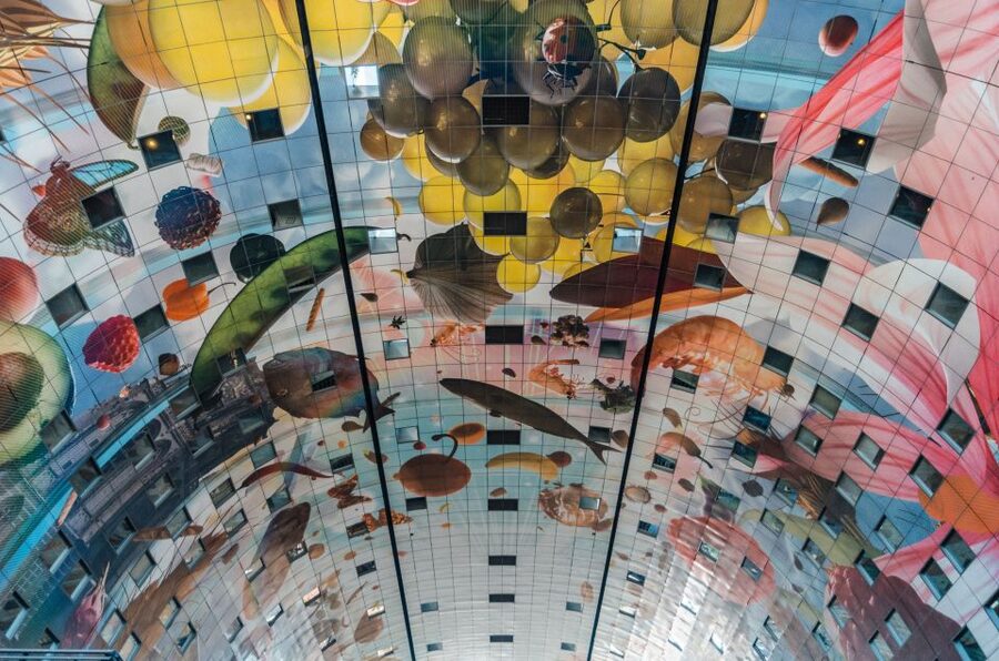 Rotterdam: Architectural Highlights Guided Walking Tour - The Central Station Start, Where Modern Rotterdam Announces Itself