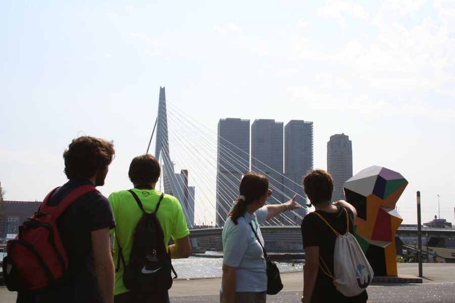 Rotterdam: Architectural Highlights Guided Walking Tour - Riversides, Skyline Lines, and the Erasmus Bridge Payoff