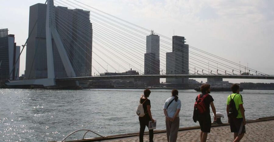Rotterdam: Architectural Highlights Guided Walking Tour - Price and Value: What You Pay for, and What You Get