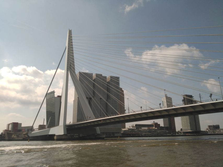 Rotterdam Architecture: Centre and South Bank with watertaxi - Key things you will notice on this Rotterdam architecture and watertaxi tour