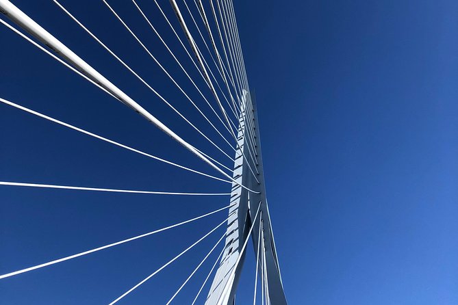 Rotterdam Architecture Highlights Walking Tour - Boompjeskade and the Maas views on the South Bank