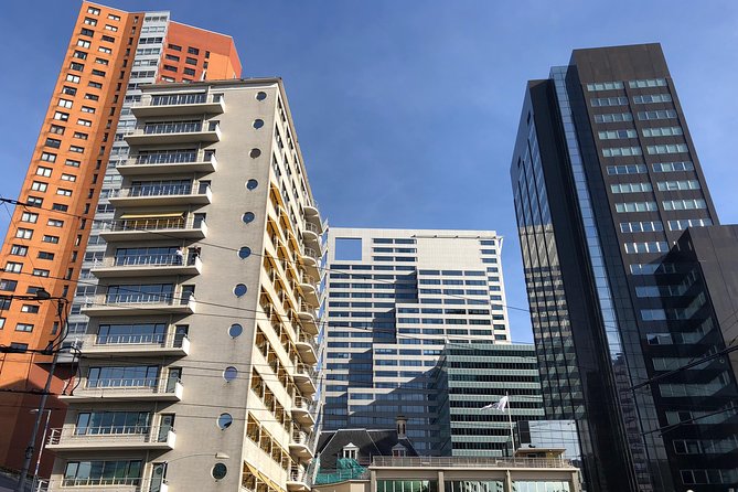 Rotterdam Architecture Highlights Walking Tour - Cube Houses: what the tour does well, and what to plan around