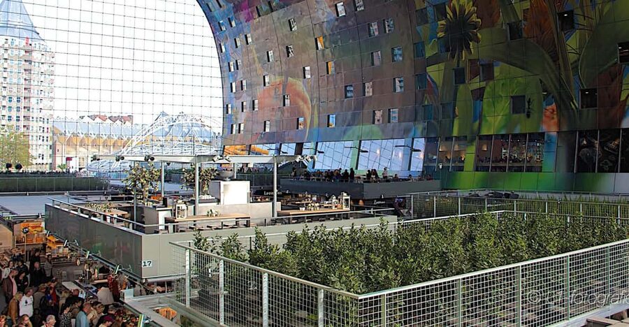 Rotterdam: City Center Walking Tour - Central Station to the City Core: The Walk That Sets Your Bearings