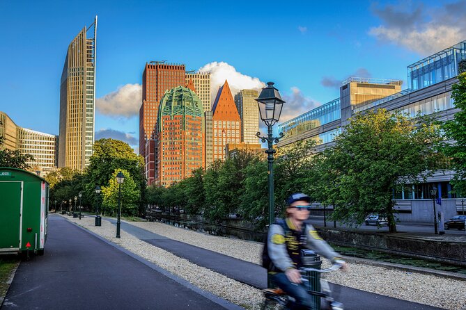 Rotterdam, Delft and The Hague Guided Tour from Amsterdam - Price and what $82.90 buys you