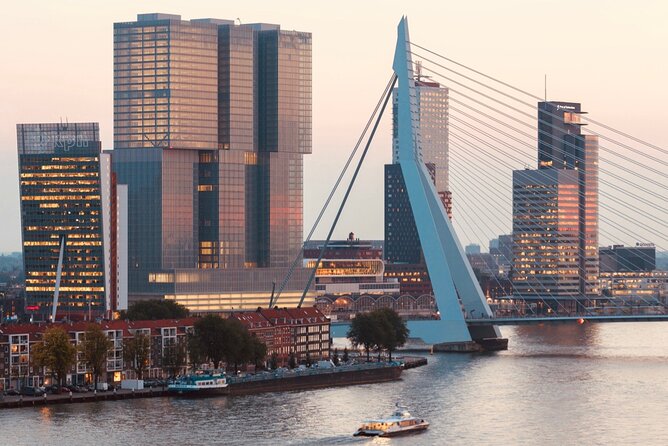 Rotterdam, Delft and The Hague Small Group Tour from Amsterdam - Who should book this Rotterdam, Delft, and The Hague tour