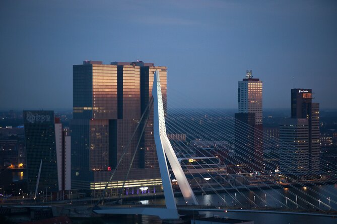 Rotterdam Private Walking Tour with a Local - Logistics That Matter: Meeting Point, Ending Point, and No Transport