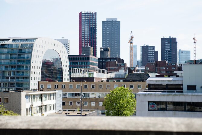 Rotterdam Rooftop tour - Rotterdam Rooftop Tours: Why the City Grows Up Above You