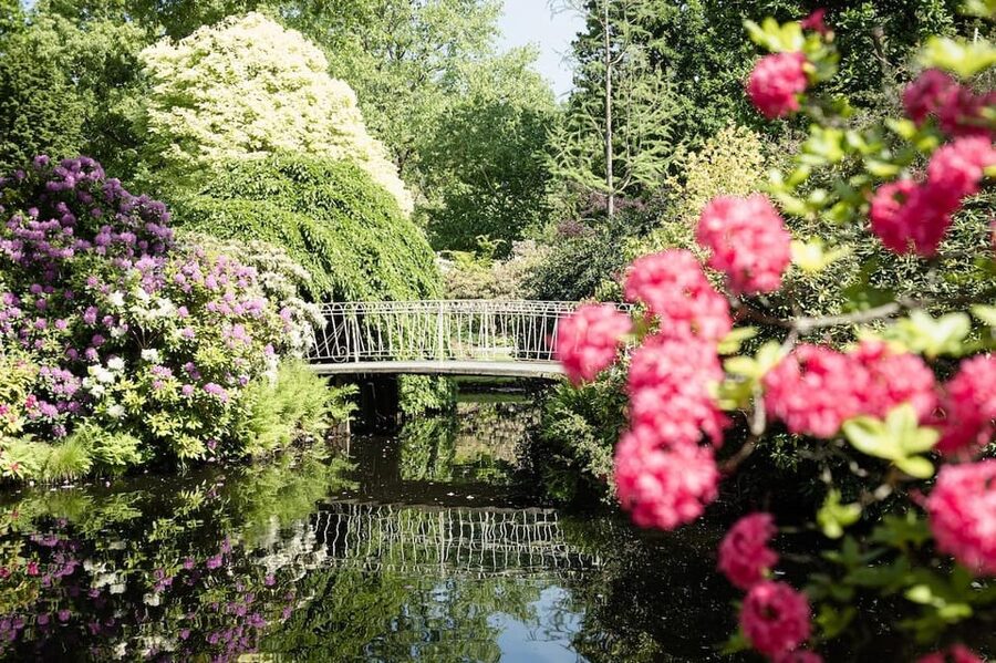 Rotterdam: Trompenburg Botanical Gardens Entry Ticket - Key highlights to look for