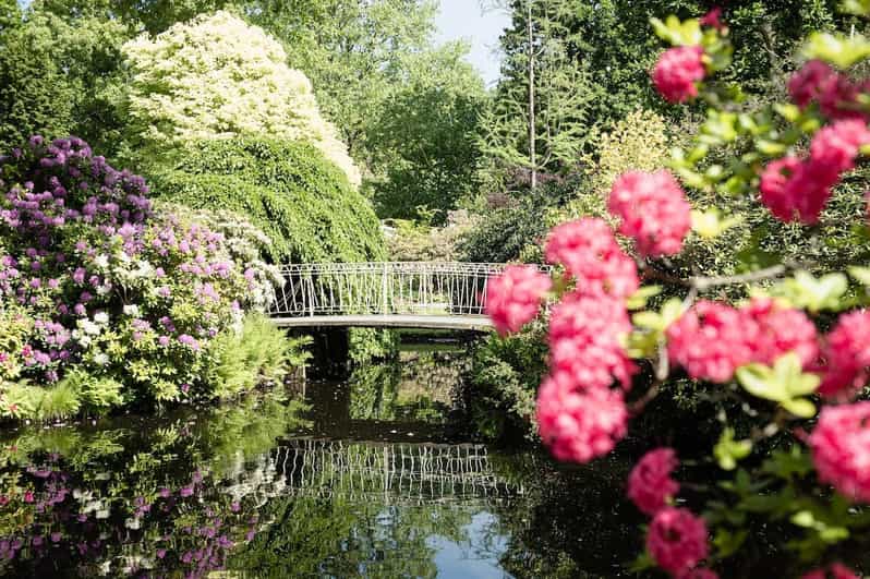 Rotterdam: Trompenburg Botanical Gardens Entry Ticket - The tree collection you can stroll slowly