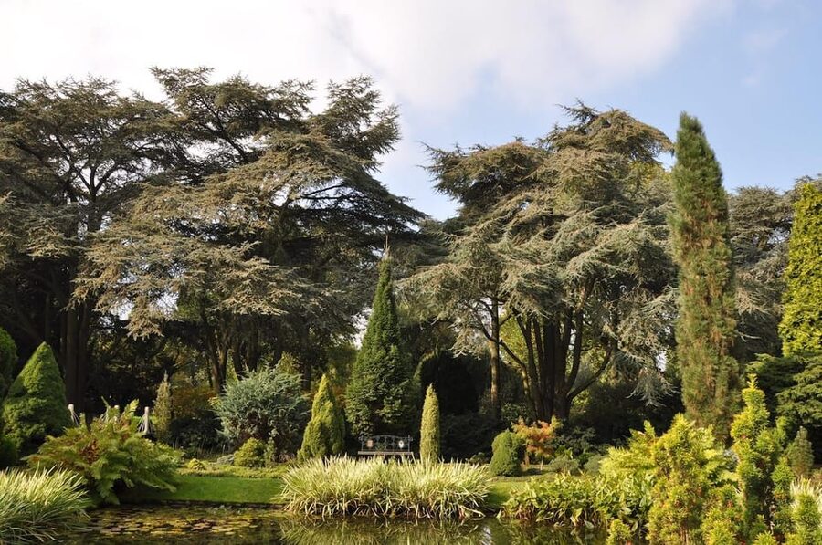 Rotterdam: Trompenburg Botanical Gardens Entry Ticket - Tea house, aviary, and the indoor stops that make the day easy