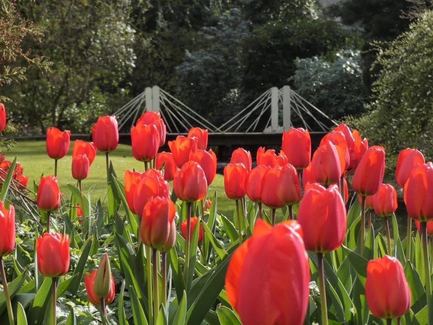 Rotterdam: Trompenburg Botanical Gardens Entry Ticket - When seasons change your route