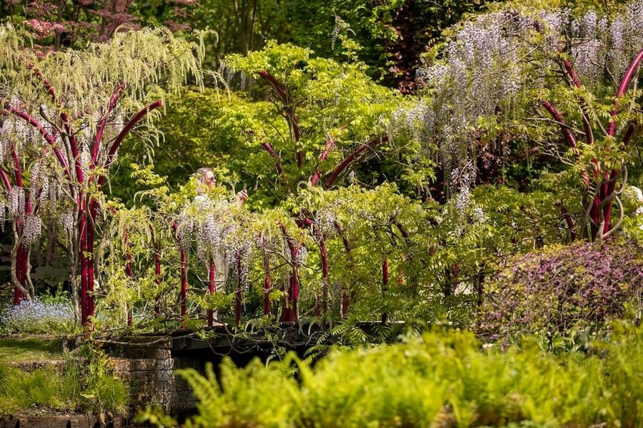Rotterdam: Trompenburg Botanical Gardens Entry Ticket - Sunday afternoons with guided walks, workshops, and lectures
