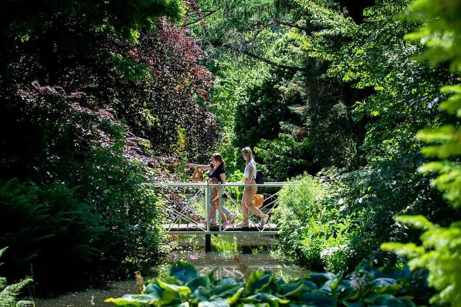 Rotterdam: Trompenburg Botanical Gardens Entry Ticket - 8 acres of trees, shrubs, perennials, bulbs, and tubers
