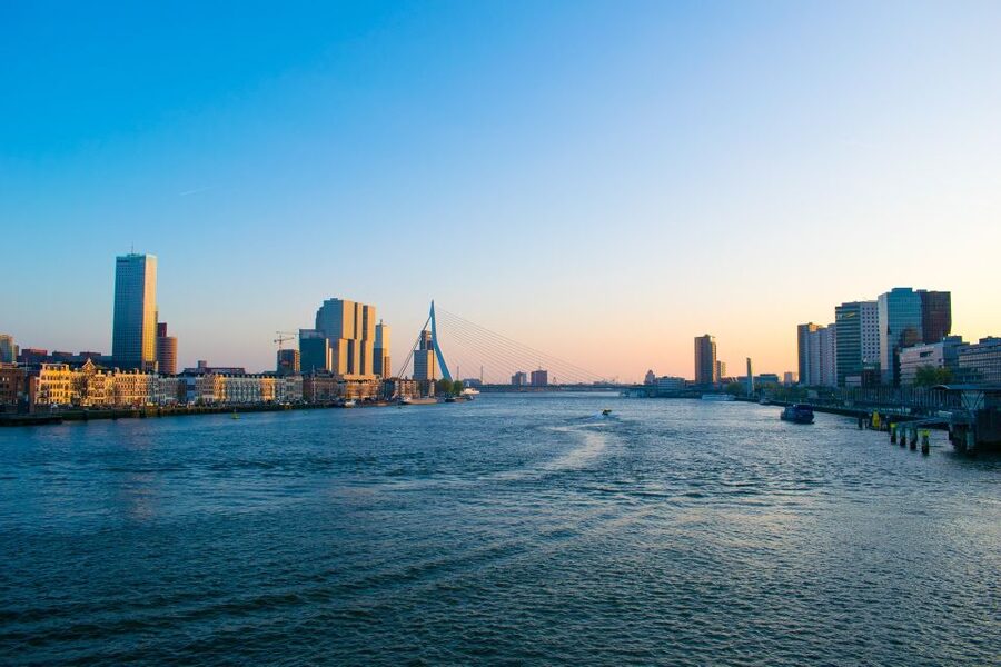 Rotterdam Walking Tour and Harbor Cruise - Key highlights you should care about