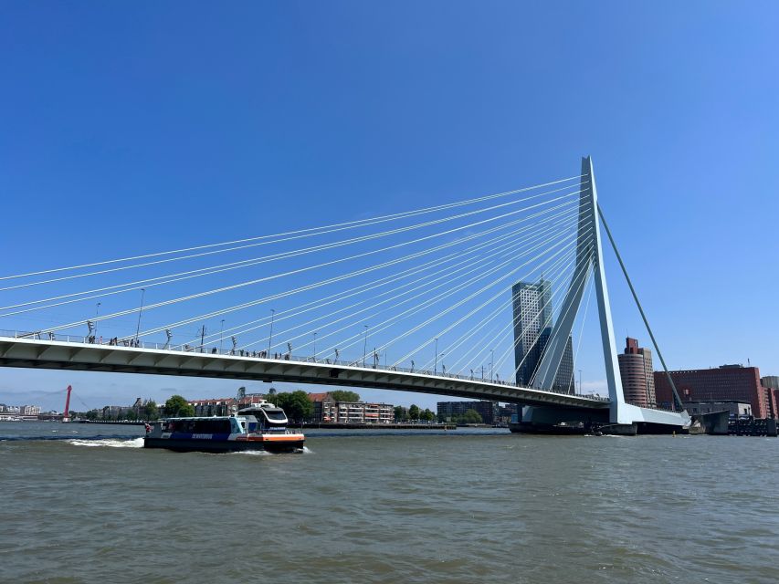 Rotterdam: Waterbus Ticket to Dordrecht and/or Kinderdijk - Who This Waterbus Day Trip Fits Best (and Who It Might Not)