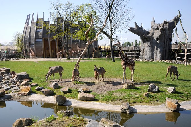 Rotterdam Zoo Diergaarde Blijdorp Direct Entrance Ticket - Key Highlights Worth Planning Around