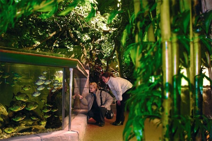 Scheveningen, The Hague: Sea Life Entry Ticket - Key things that make SEA LIFE Scheveningen worth your time