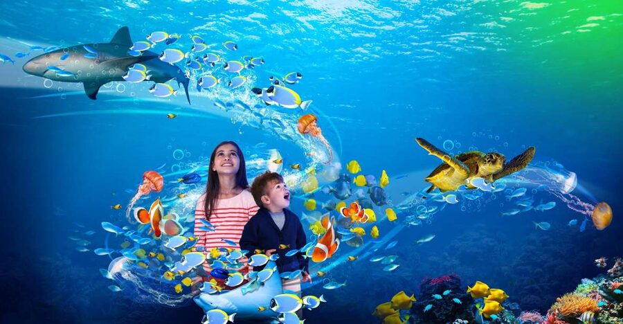 Scheveningen, The Hague: Sea Life Entry Ticket - The feeding sessions: when the aquarium turns into theater