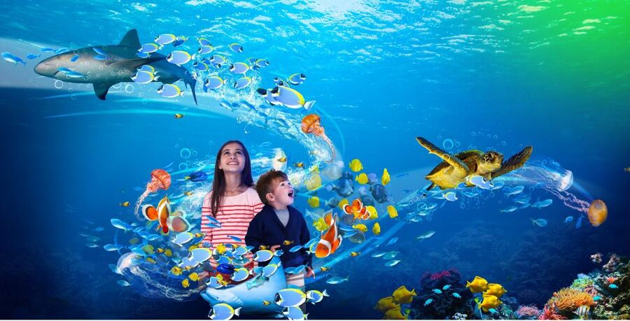 Scheveningen, The Hague: Sea Life Entry Ticket - Meet otter Max and the penguins, and why timing matters