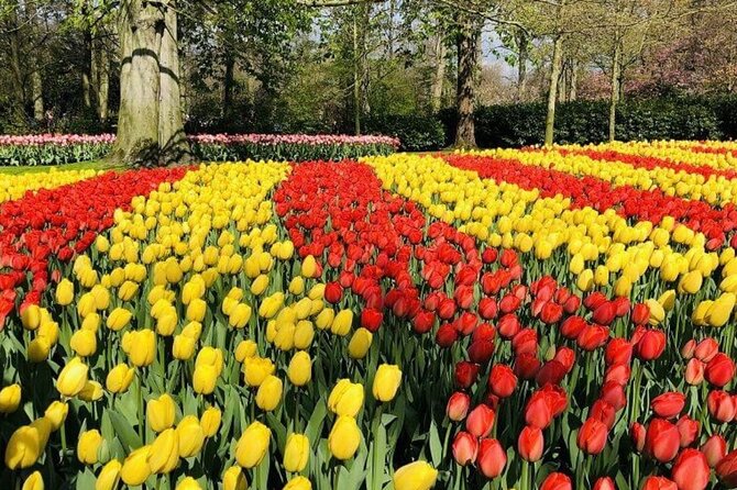 Skip-the-Line Keukenhof Gardens and Tulip Fields Tour from Amsterdam - Price and Value: Is $639.96 for Up to 4 Worth It?