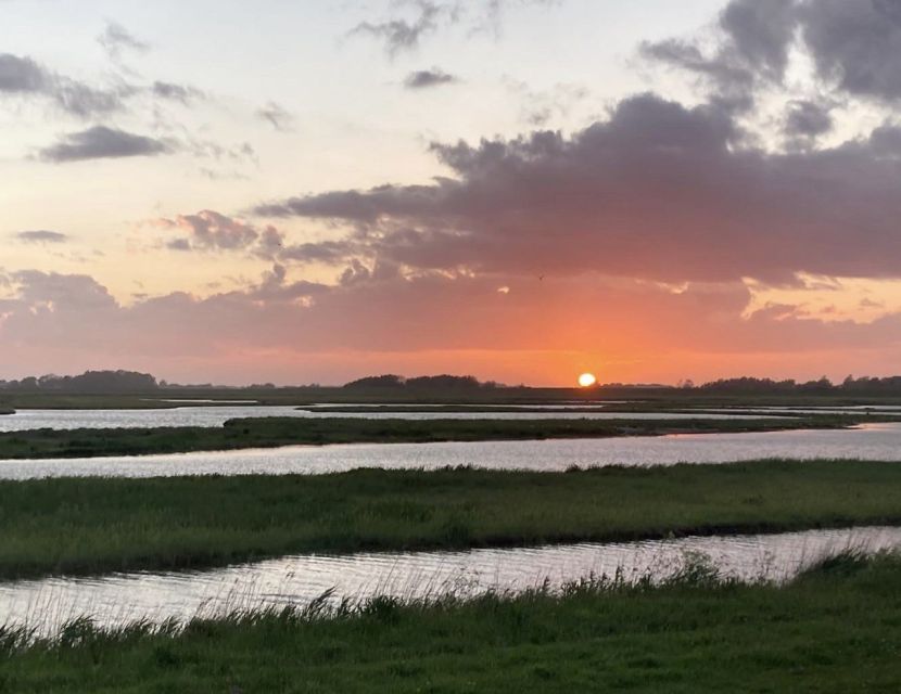 Small group full day island tour to Texel from Amsterdam - From Amsterdam to Texel, without the usual headache