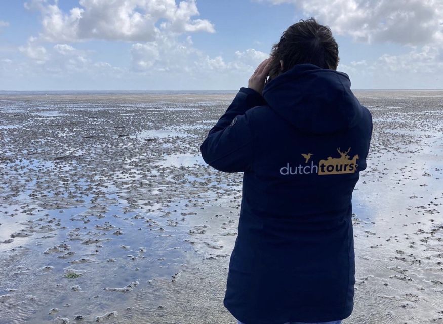 Small group full day island tour to Texel from Amsterdam - Price and value: what you’re paying for at $294